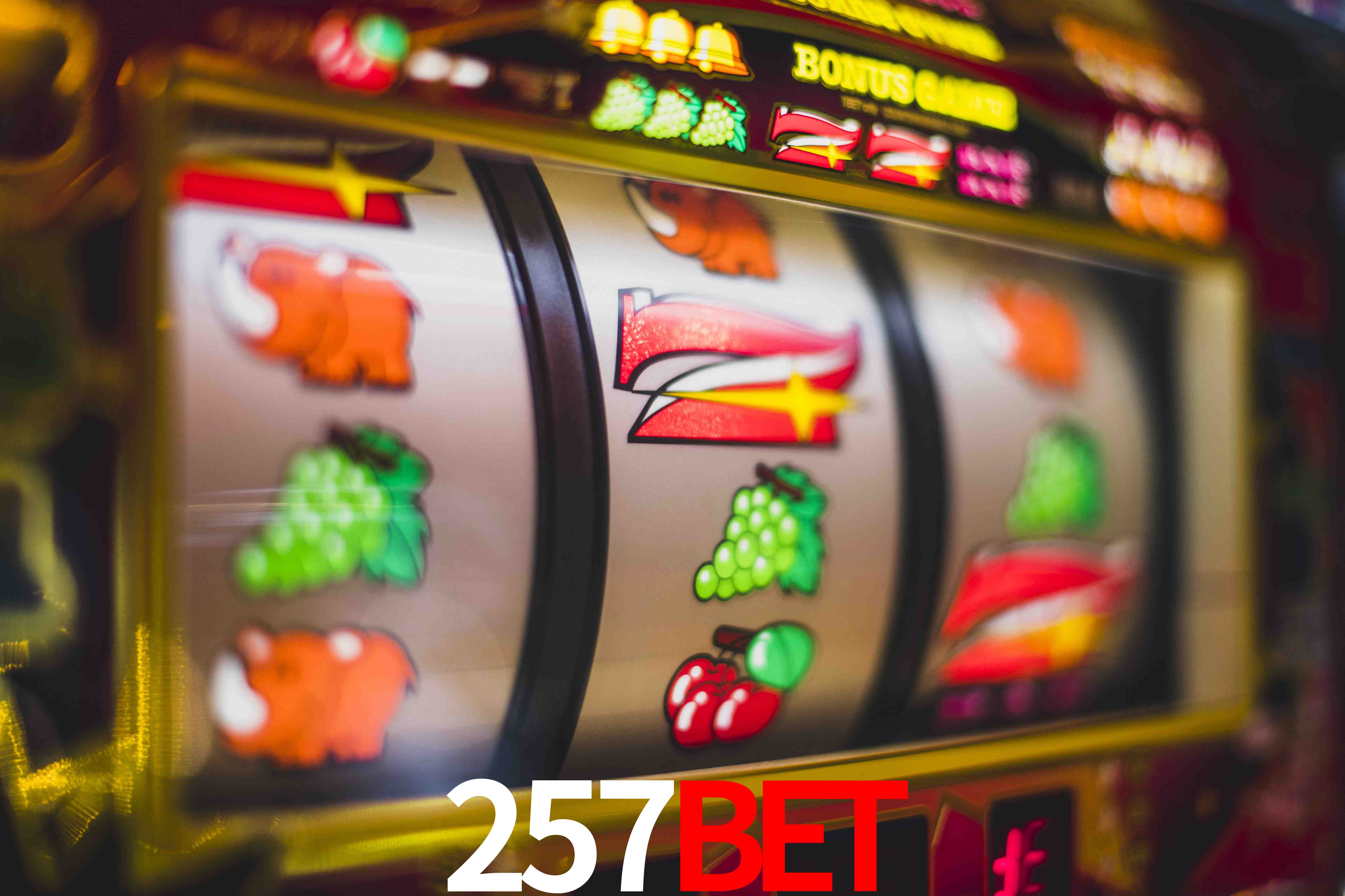 Football Betting 257BET